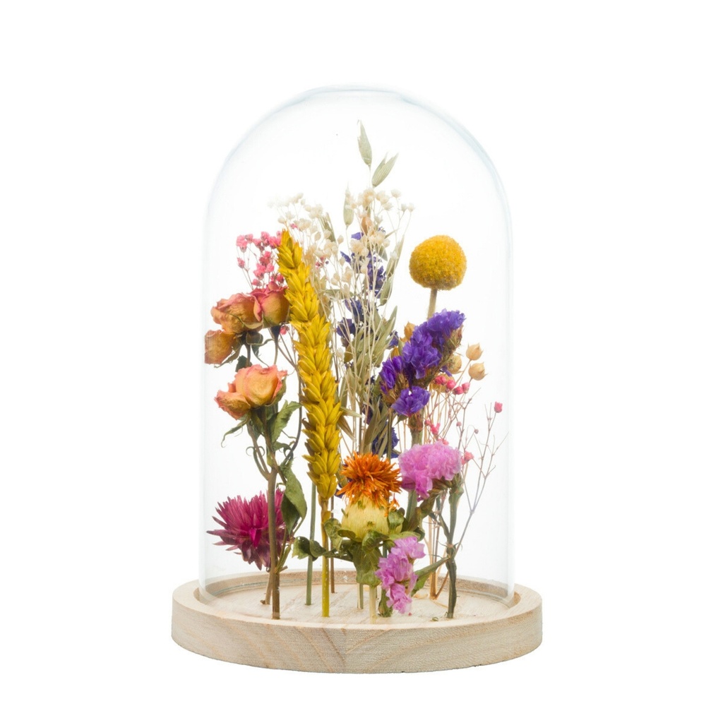 Dried Flower - Bell Jar - Multi