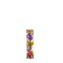 Dried Flower - Wish bottle - Multi