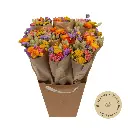 Market More Bouquet - Multi
