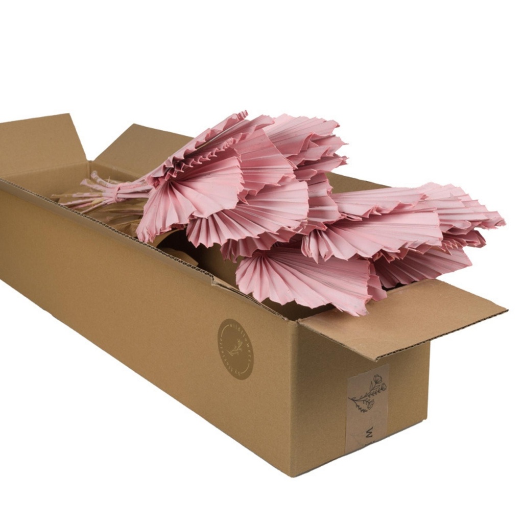 Dried Flowers - Palmspear Pink Misty