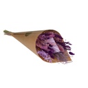 Field Bouquet Exclusive - Purple