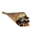 Field Bouquet Exclusive - Brown&White