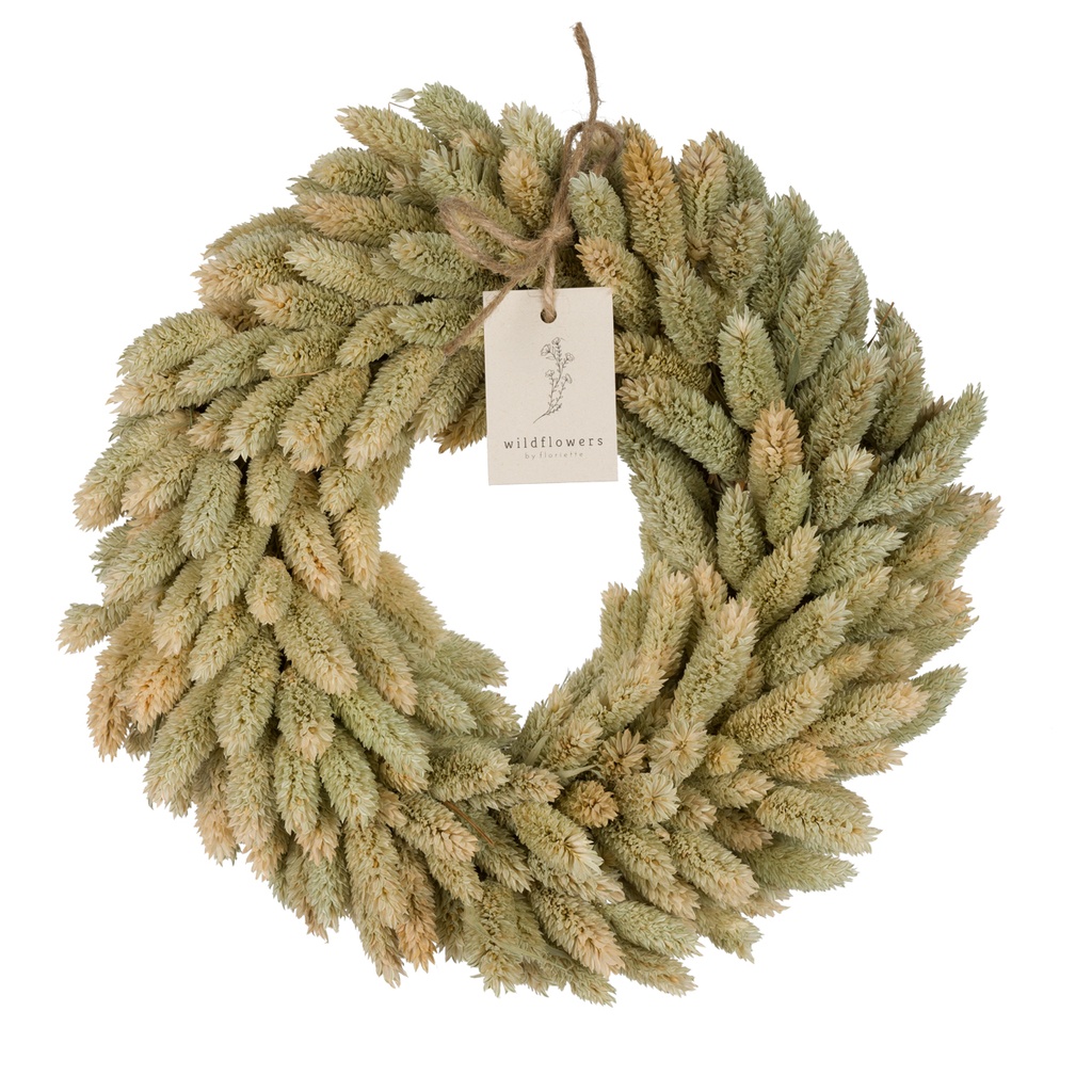 Wreath Phalaris 30cm - Natural