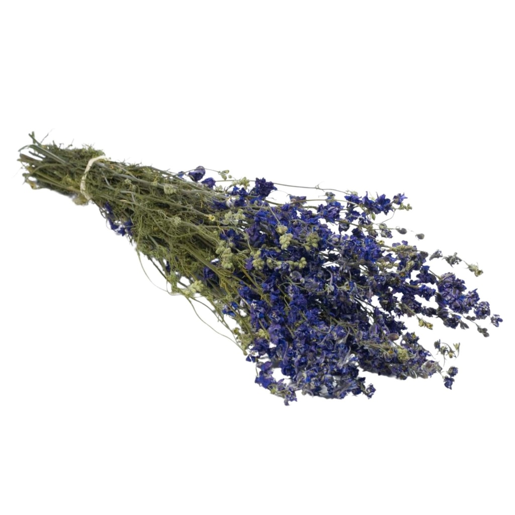Dried Flowers - Delphinium Blue