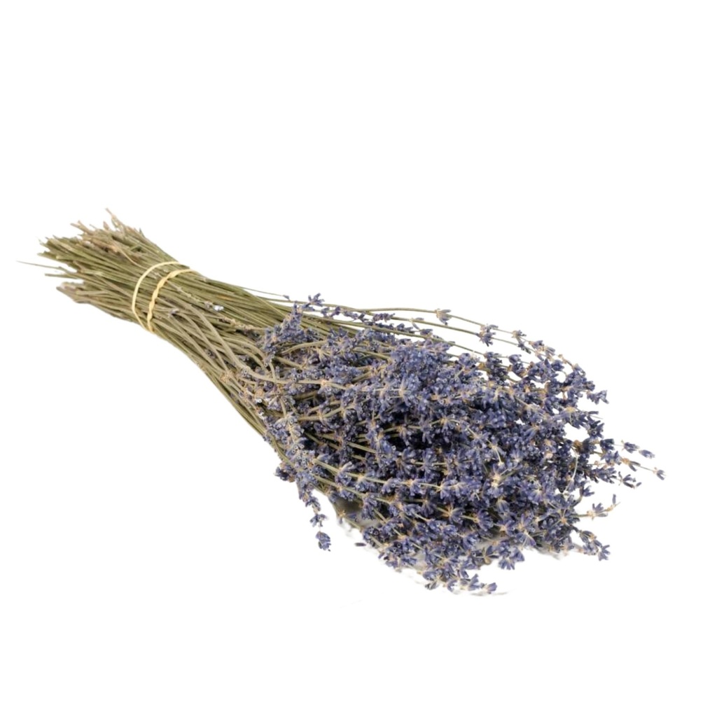 Dried Flowers - Lavender Natural Blue