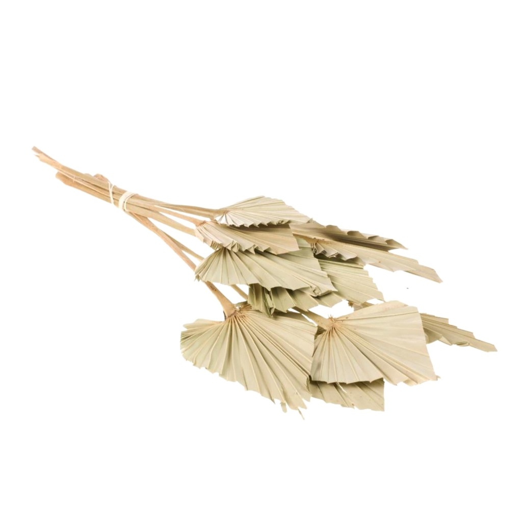 Dried Flowers - Palmspear Natural