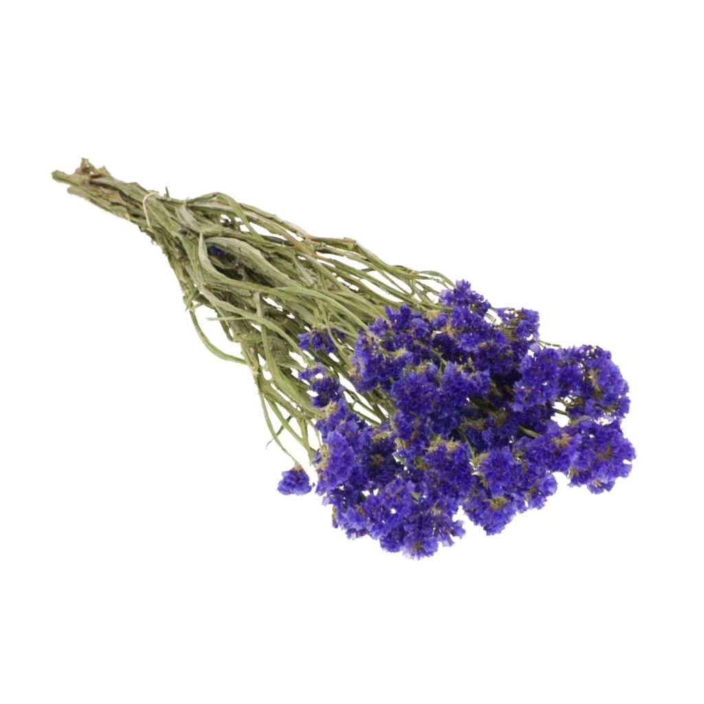 Dried Flowers - Statice Natural Blue
