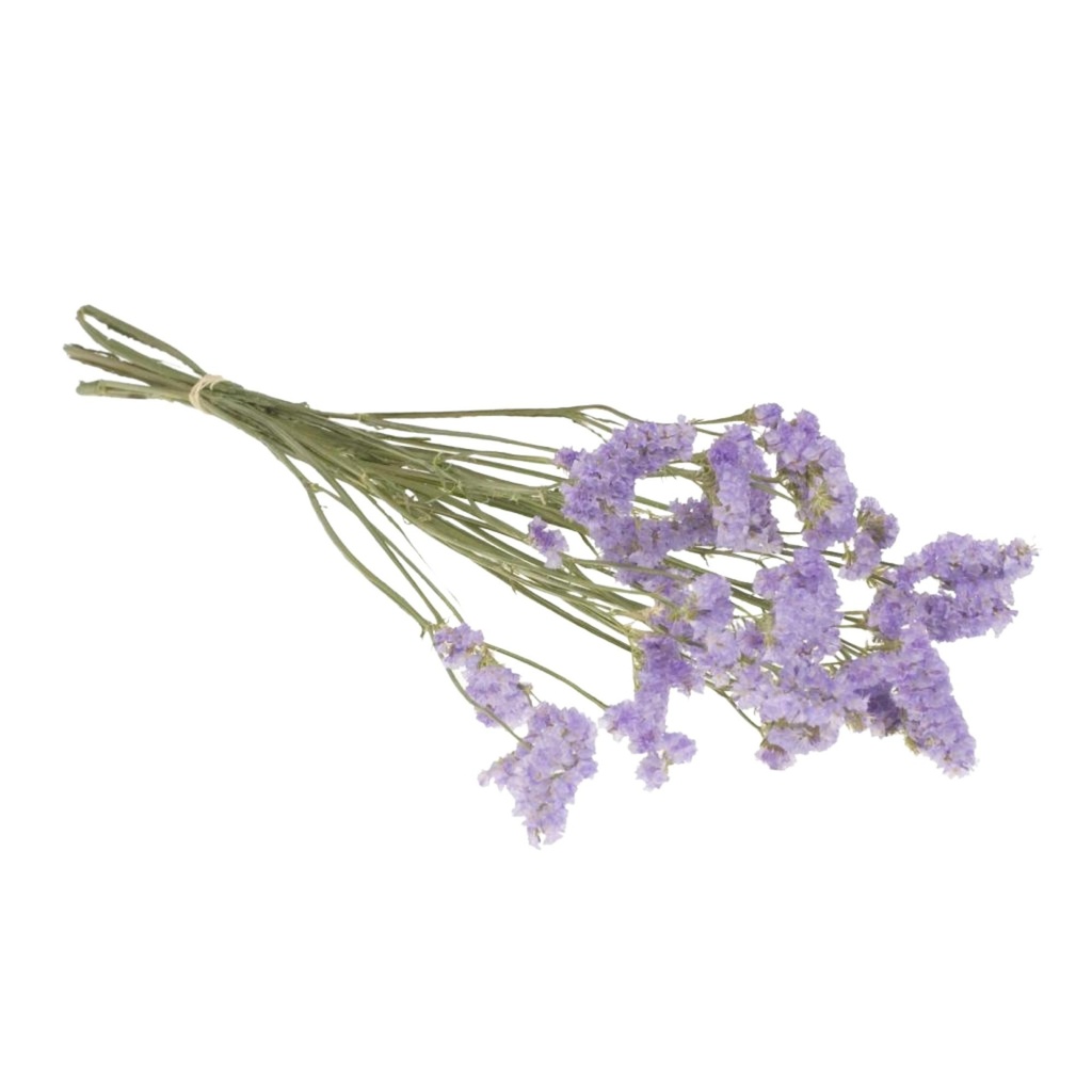 Dried Flowers - Statice Natural Lilac