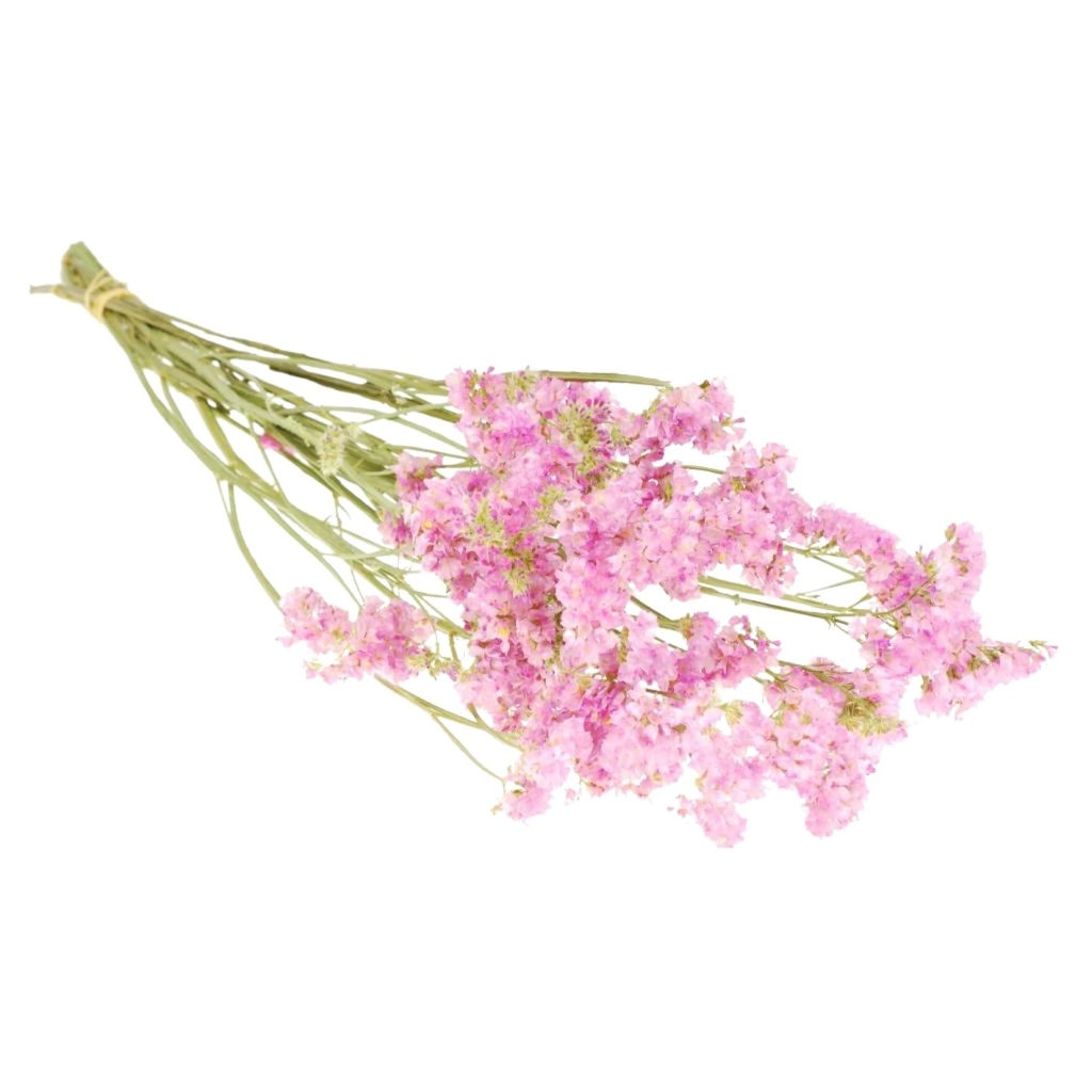 Dried Flowers - Statice Natural Pink