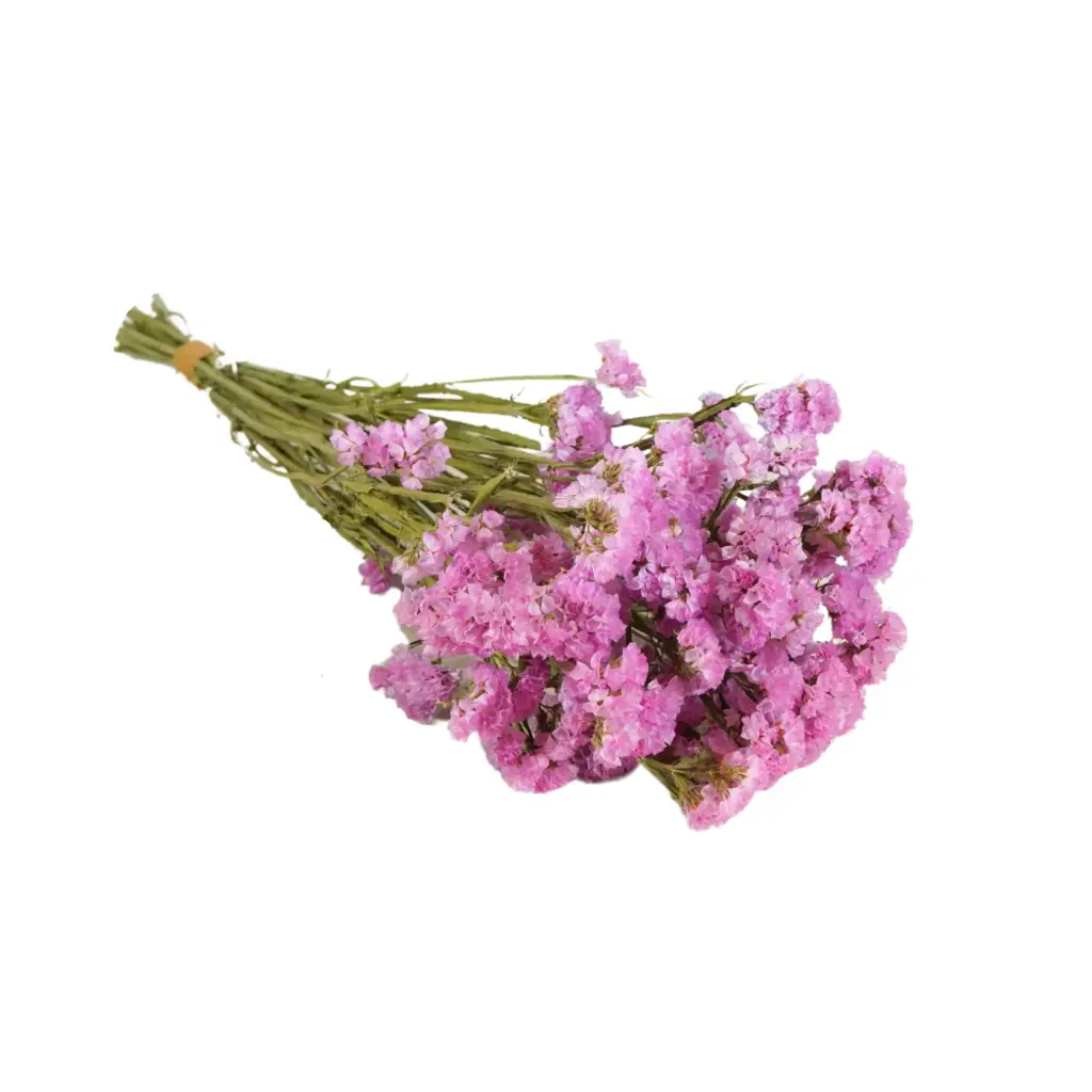 Dried Flowers - Statice Natural Pink