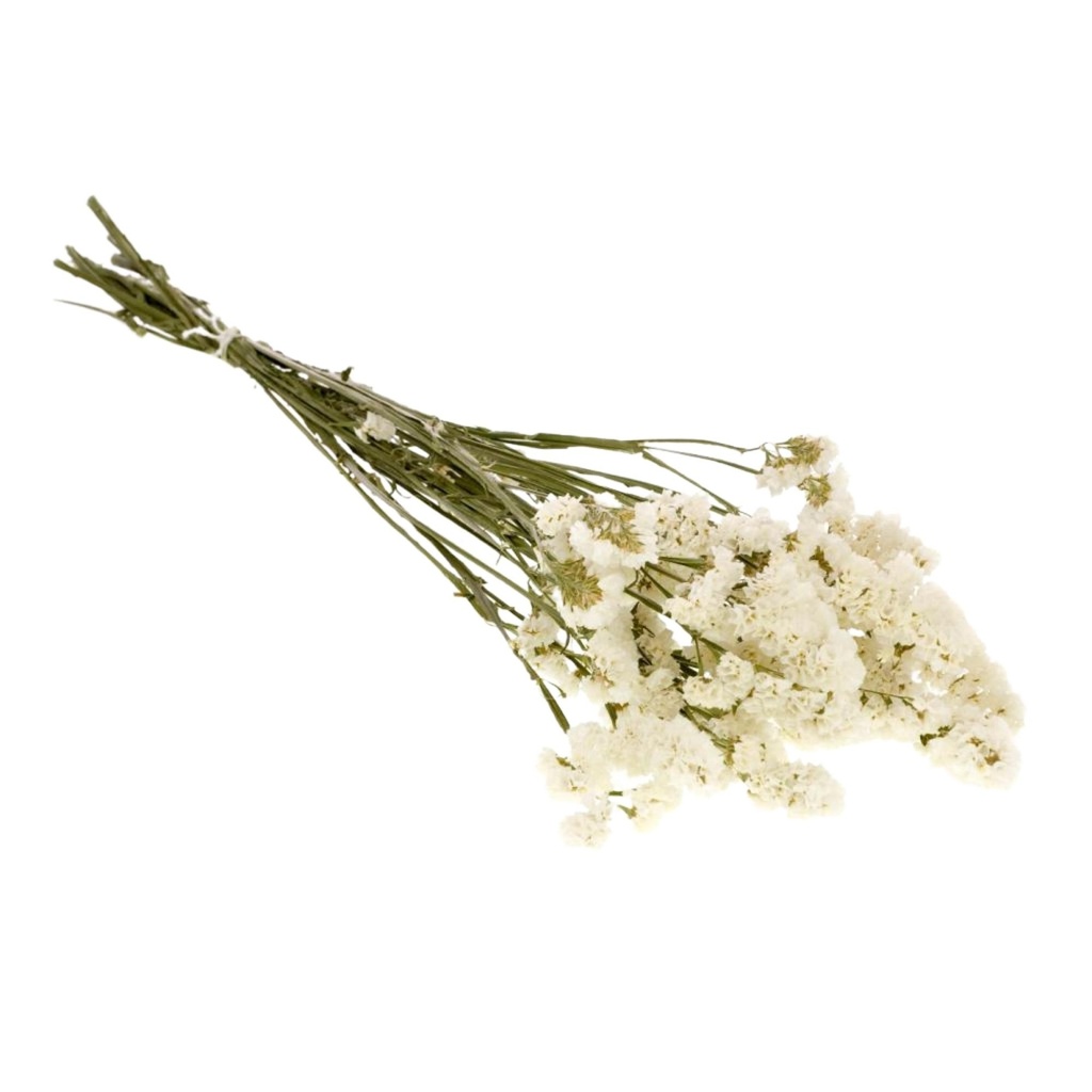 Dried Flowers - Statice Natural White