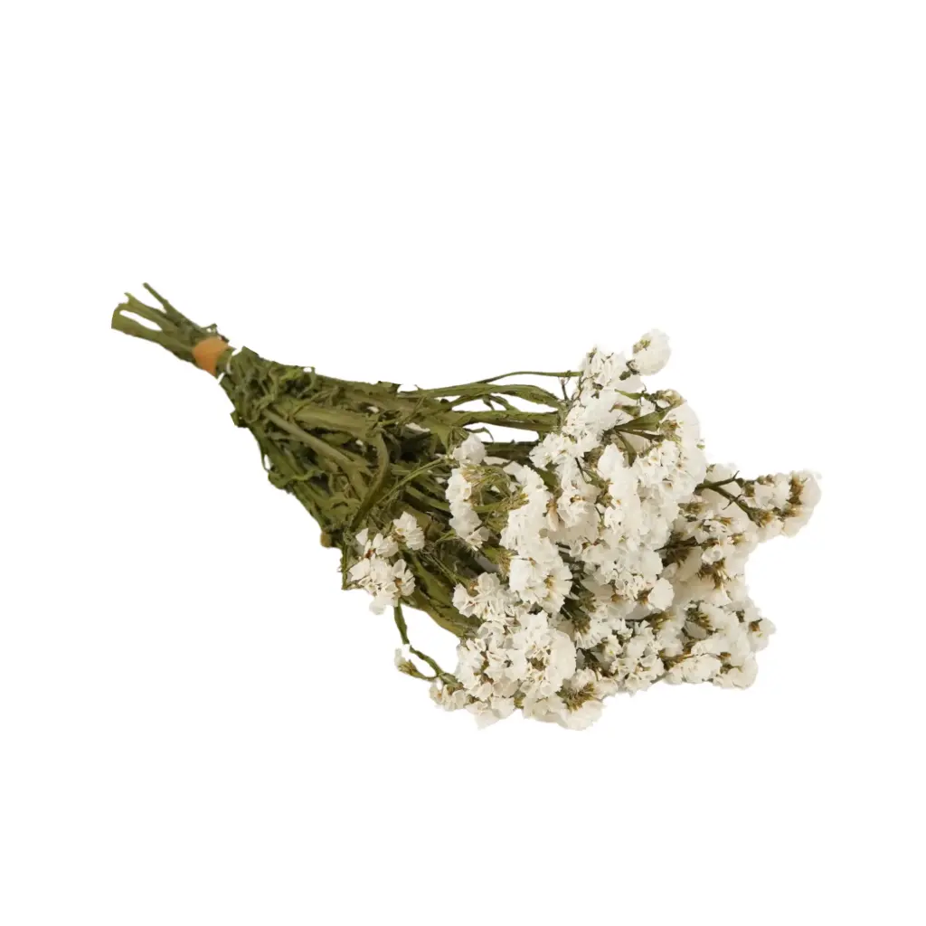 Dried Flowers - Statice Natural White