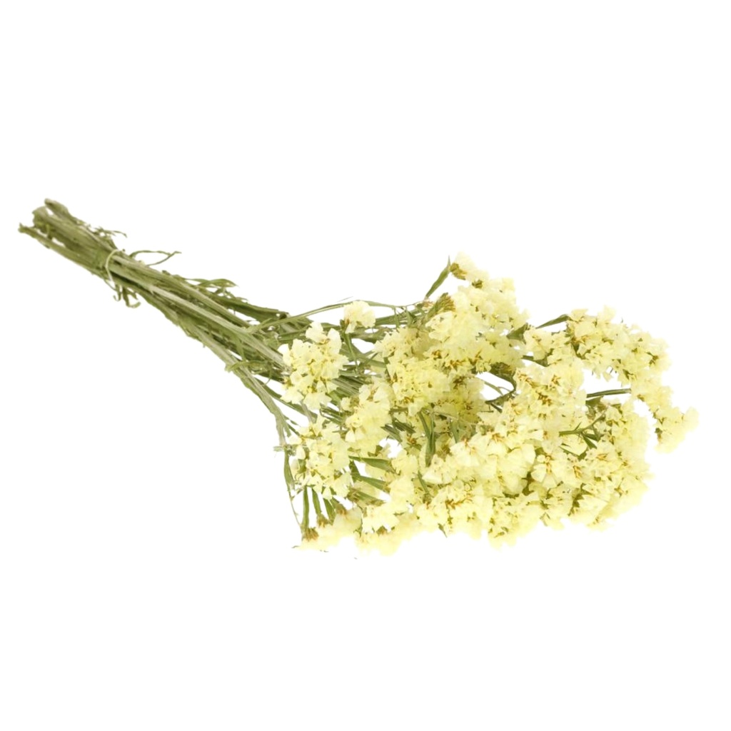 Dried Flowers - Statice Natural Yellow