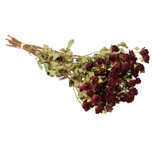 Dried Flowers - Spray Roses Natural Red