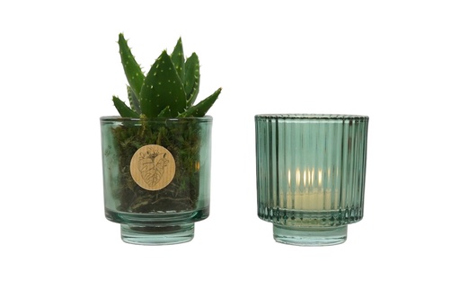 POTS ONLY - Luxury glass green & brown