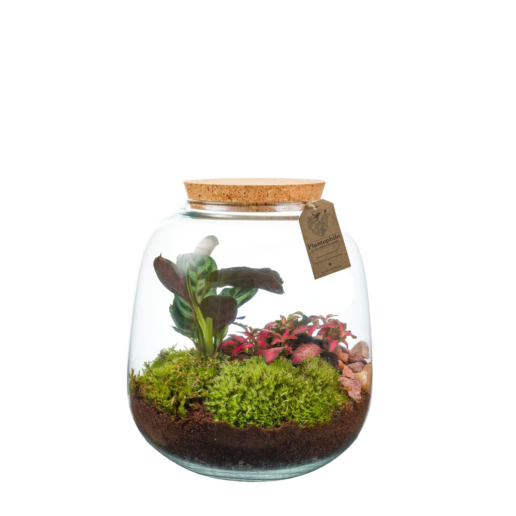 Terrarium Rotterdam