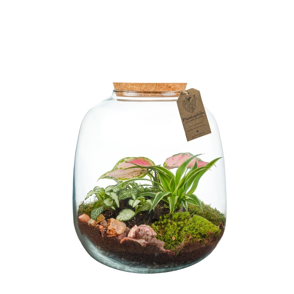 Terrarium Amsterdam