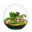 Terrarium Brussels