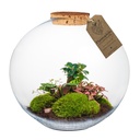 Terrarium Paris XL