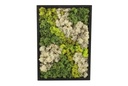 Moss Art in wooden frame - rectangle large