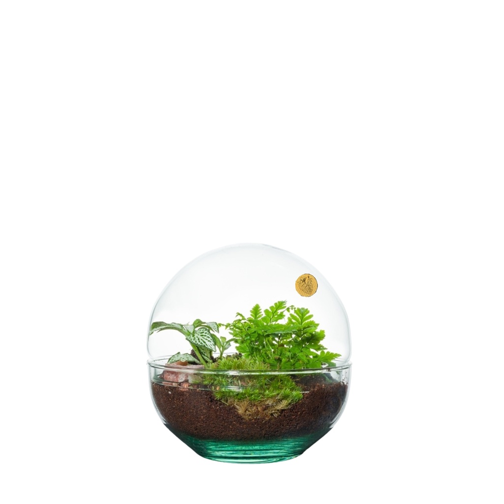 Terrarium Biarritz