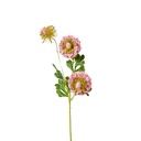 Scabiosa Artificial Soft Touch 70cm - Dark Pink