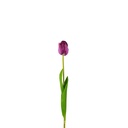 Tulip Artificial Soft Touch 50cm - Purple