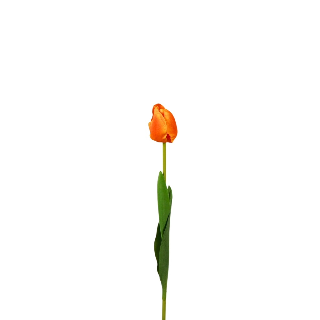 Tulip Artificial Soft Touch 50cm - Orange