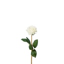 Rosa Artificial Soft Touch 40cm - White