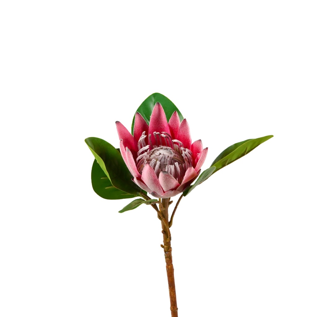 Protea Artificial Soft Touch 40cm - Pink