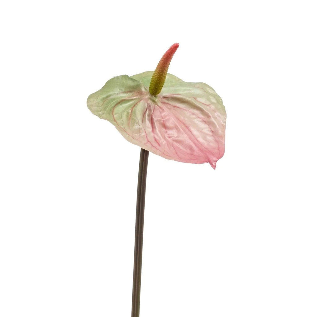 Anthurium Artificial spray green/pink 65cm 