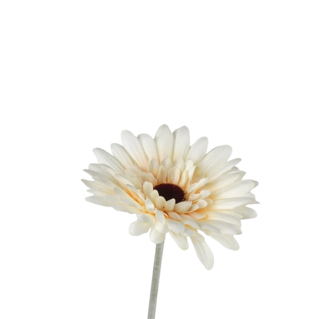 Gerbera Artificial L58cm Cream 