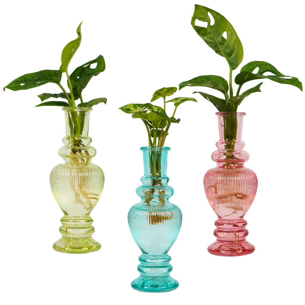 Waterplants mix in Venice Glas 3 colours