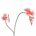 Freesia Artificial x2 L74cm Pink