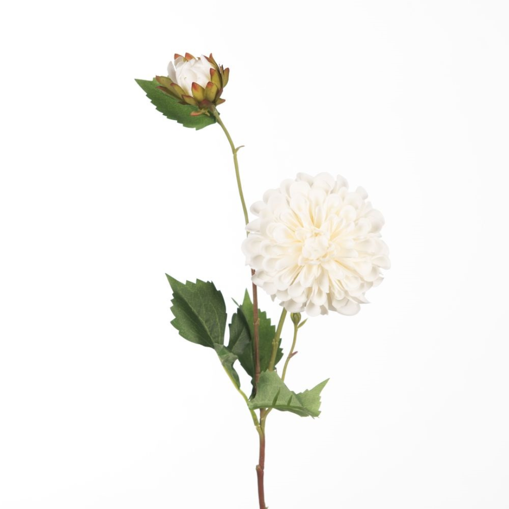 Dahlia Artificial Pompon x2 L61cm Cream