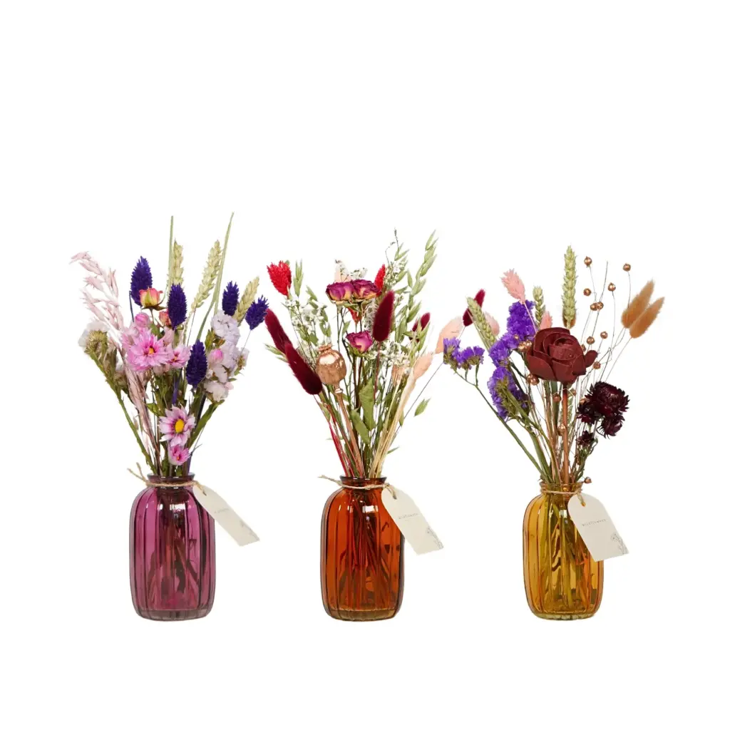 Dried Flowers in Bottle Mix - Terra