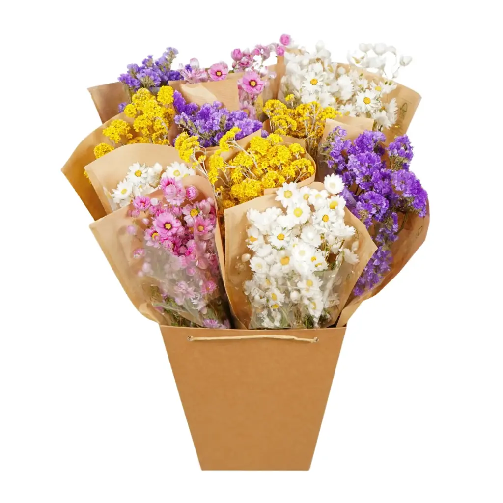 Dried Flowers Mono mix - Dutch