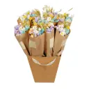 Market more - Pastel Delight