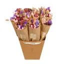 Market more - Burgundy