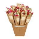 Market more - Red Allure