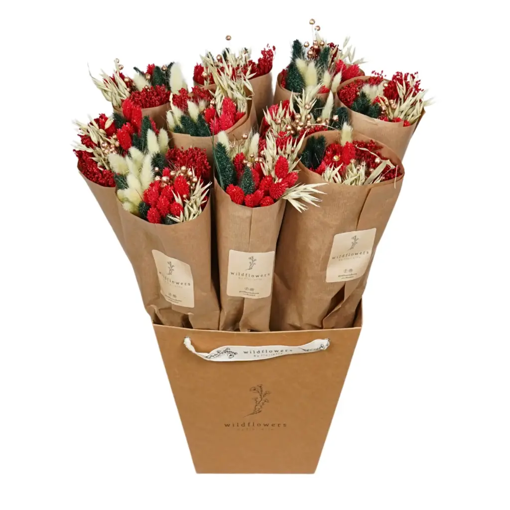 Market more - Holiday  Cheer
