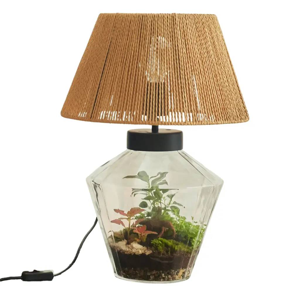 Terrarium Lumina