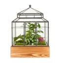Terrarium Botanica