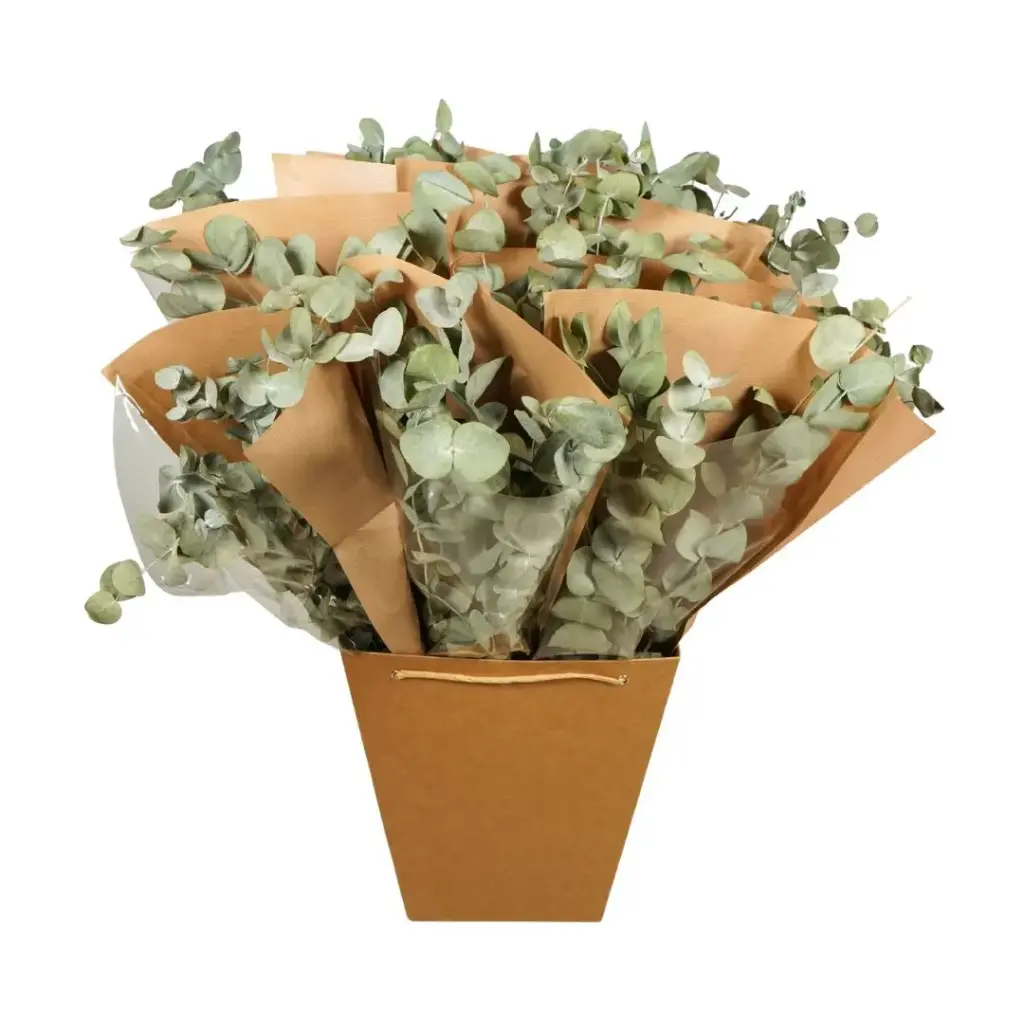 Dried Flowers Mono mix - Eucalyptus (7 stem)