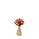 Posy Bouquet - Rosewood