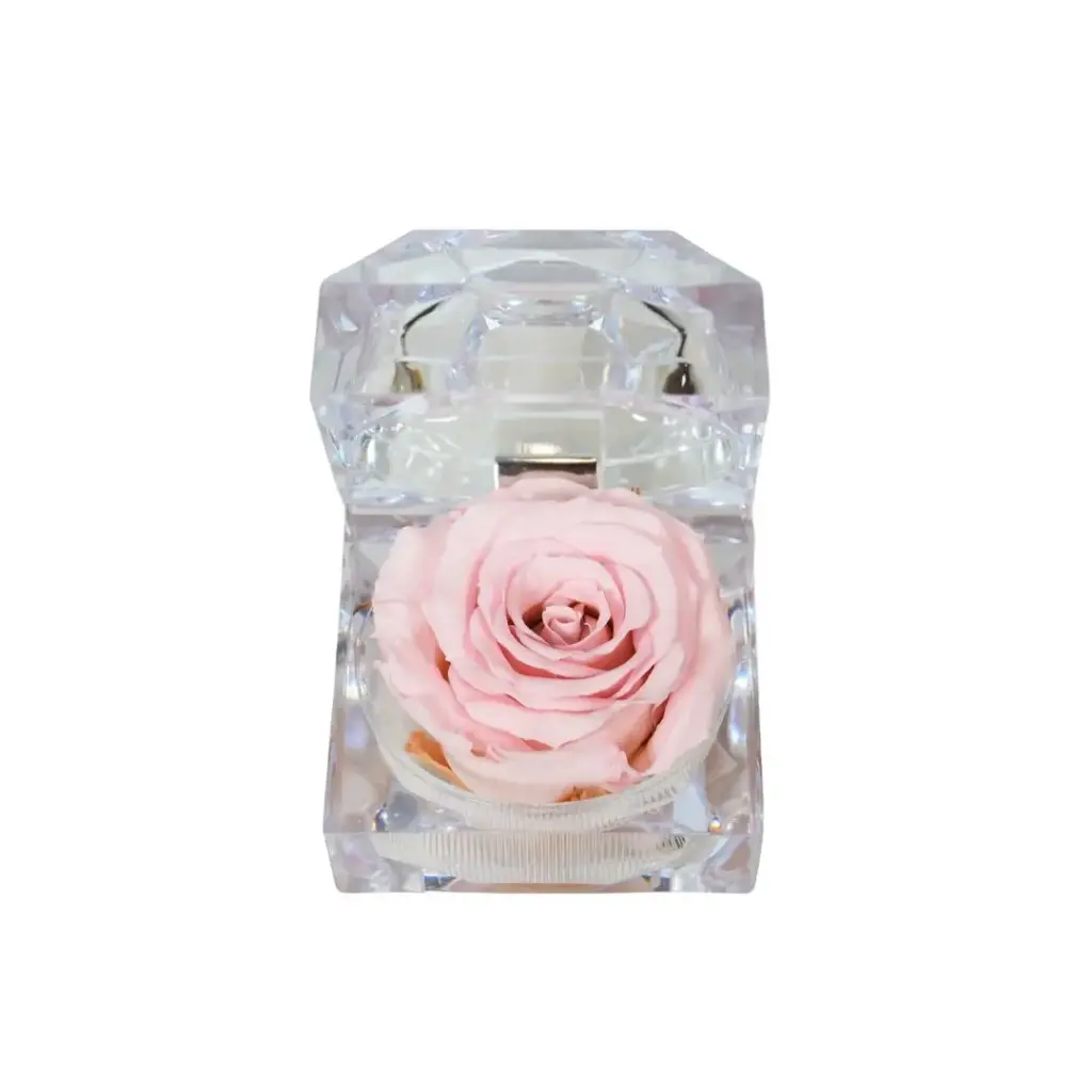 Preserved Pink Rose with Fragrance in Jewelry Box