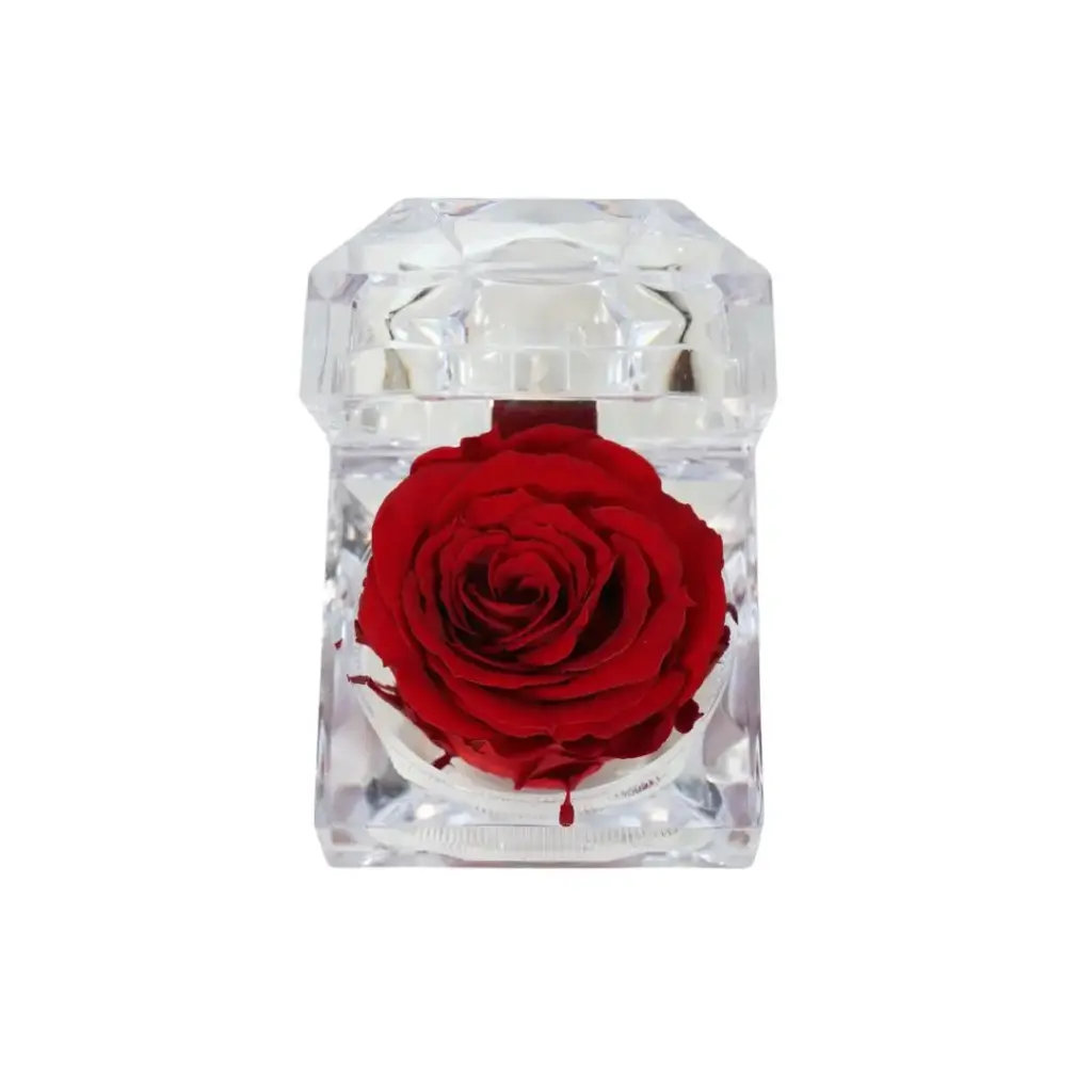 Preserved Red Rose with Fragrance in Jewelry Box
