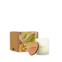 Scented Soy Wax Candle in Glass - Bergamot Blossom
