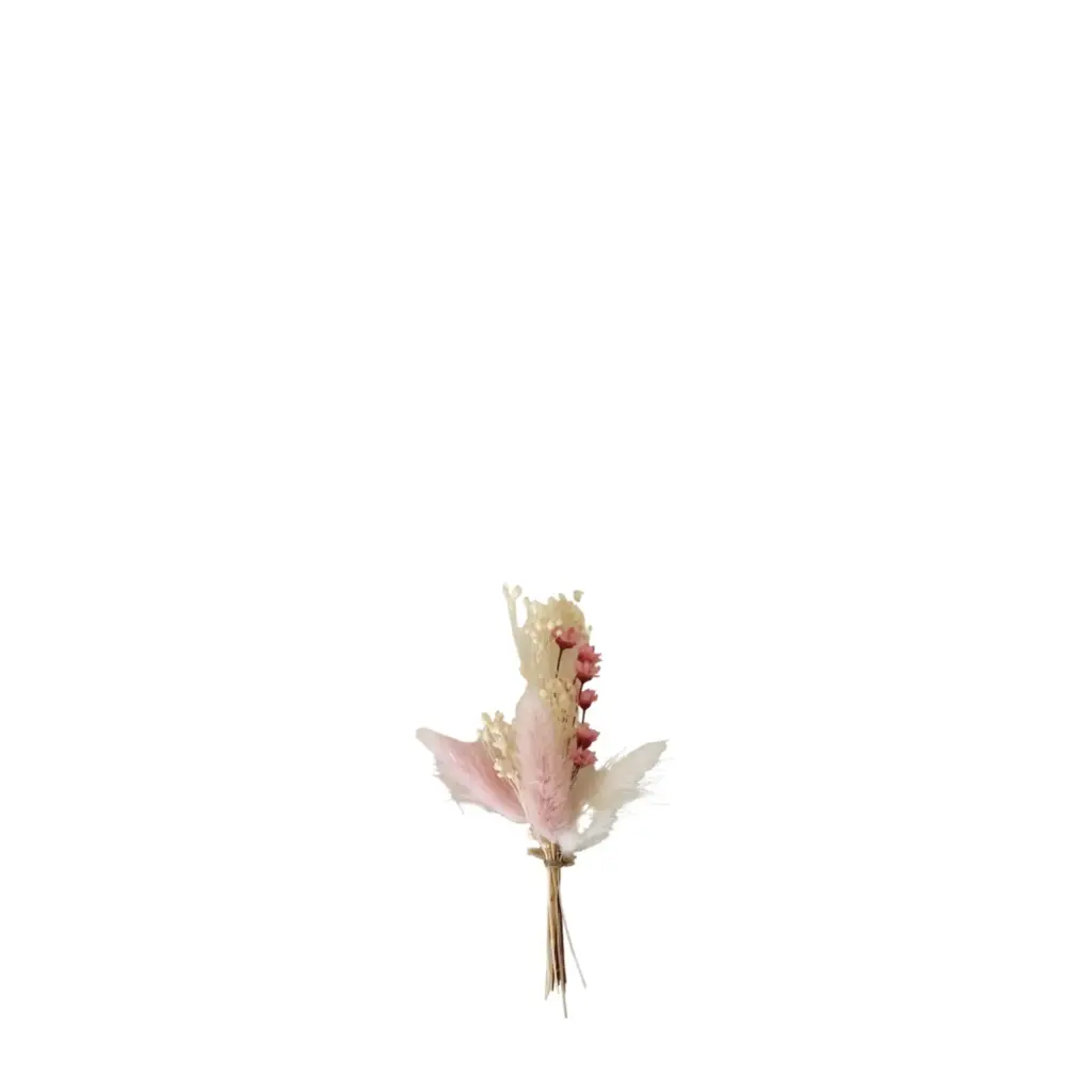 Mini Bundle Dried Flowers 11 cm - set of 6 - Blush