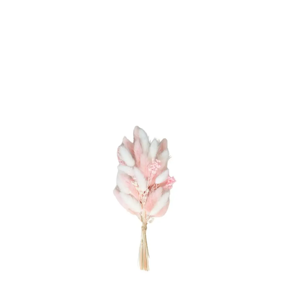Small Bundle Dried Flowers 22cm - Blush